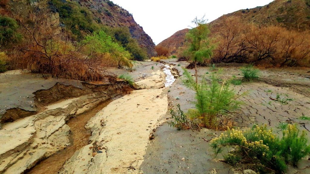 Desert Stream