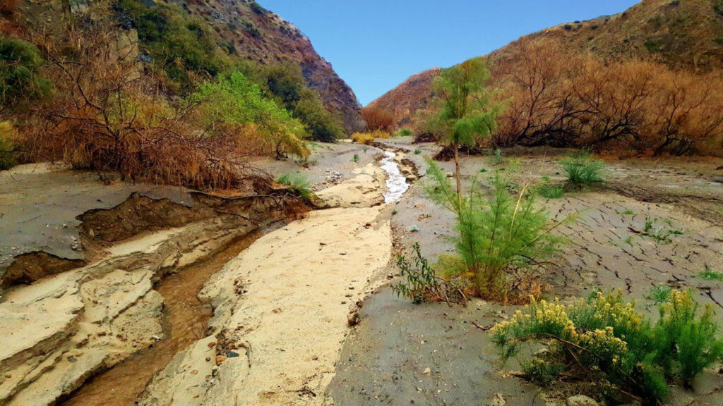 A natural stream
